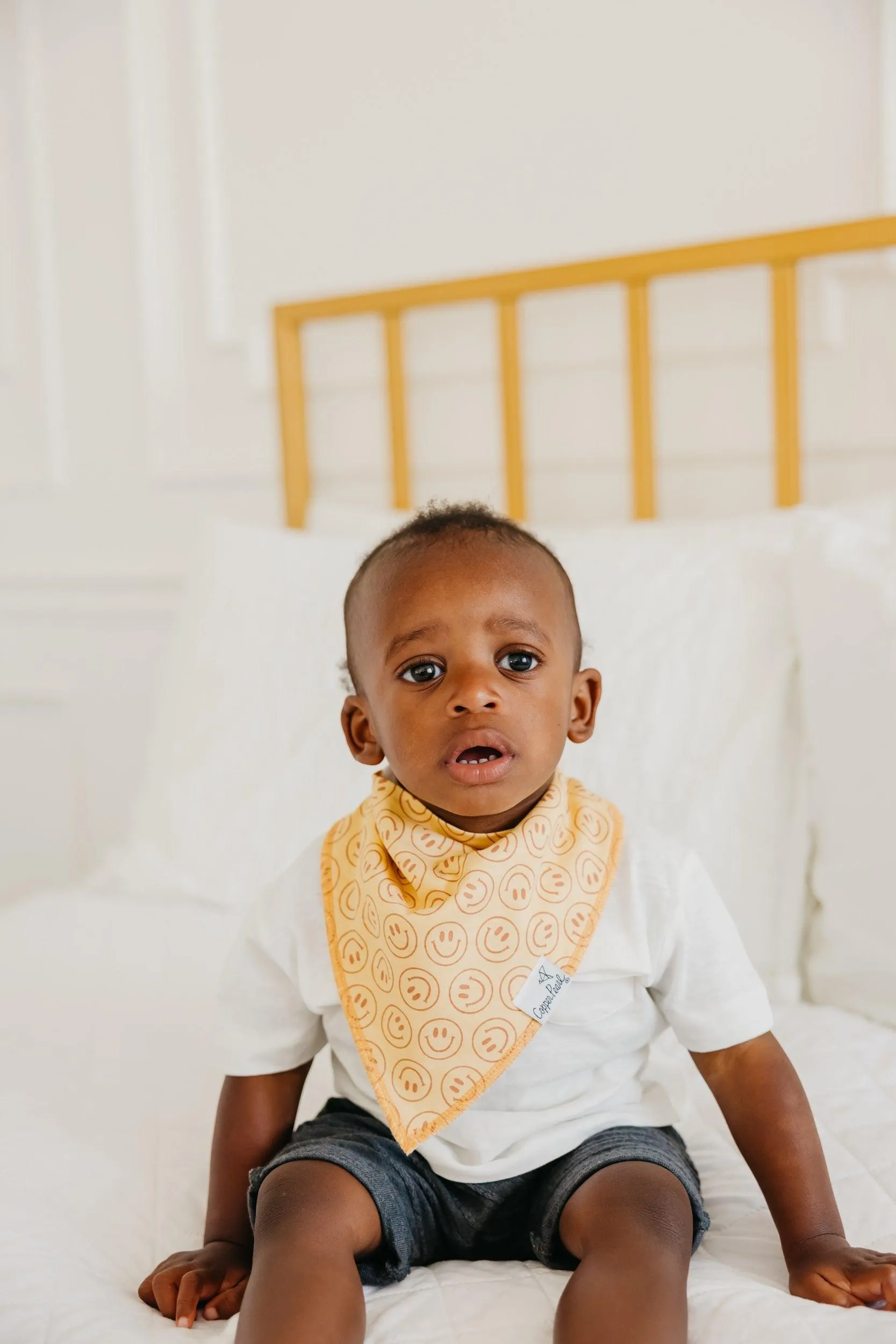 Baby Bandana Bibs - Vance