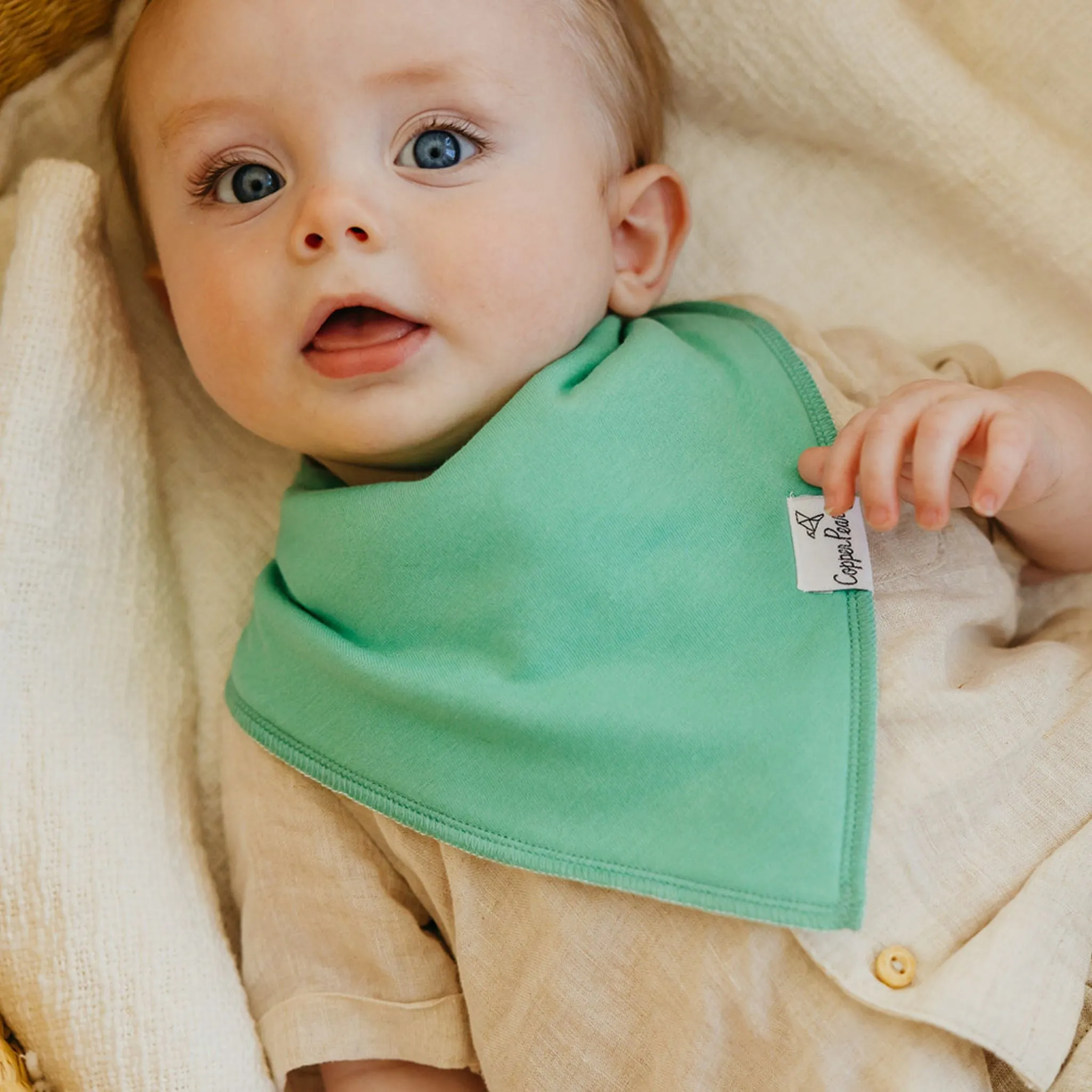 Baby Bandana Bibs - Veggies
