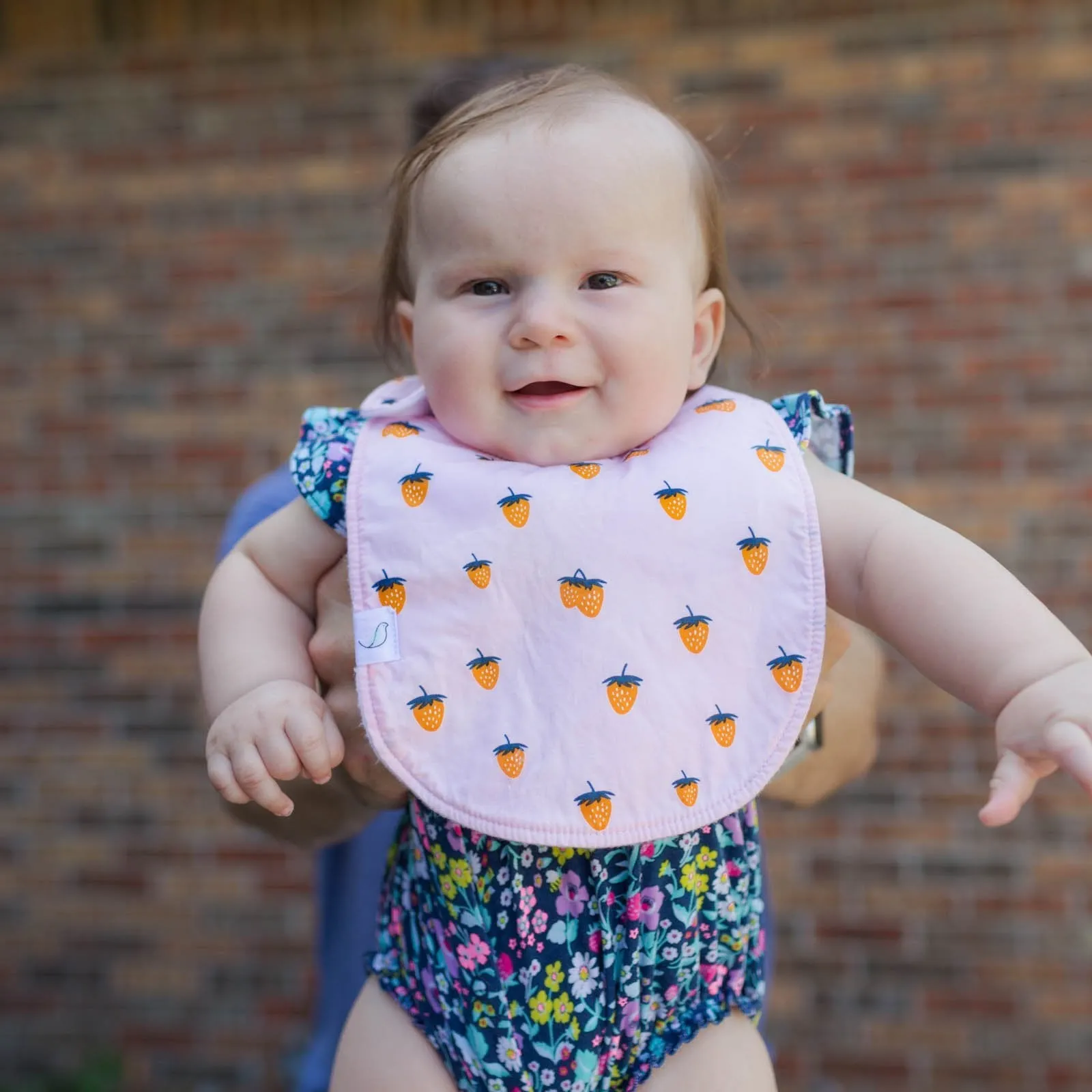 Berry Charlie Bib