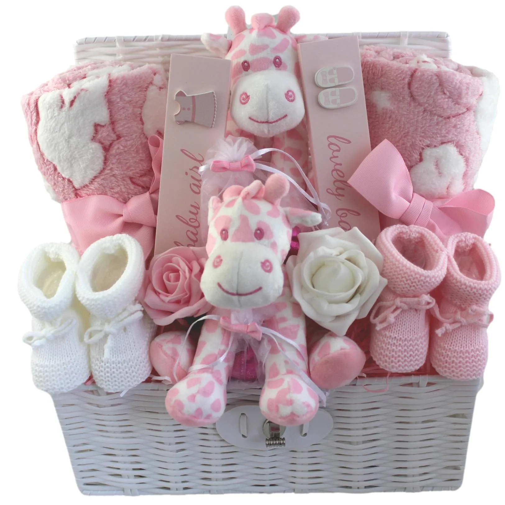 Double the Love Baby Gift Hamper for Girl Twins