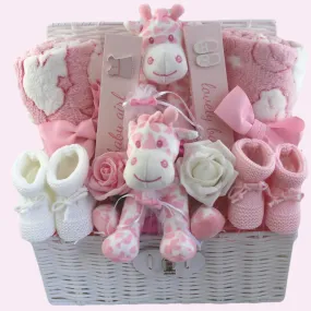 Double the Love Baby Gift Hamper for Girl Twins
