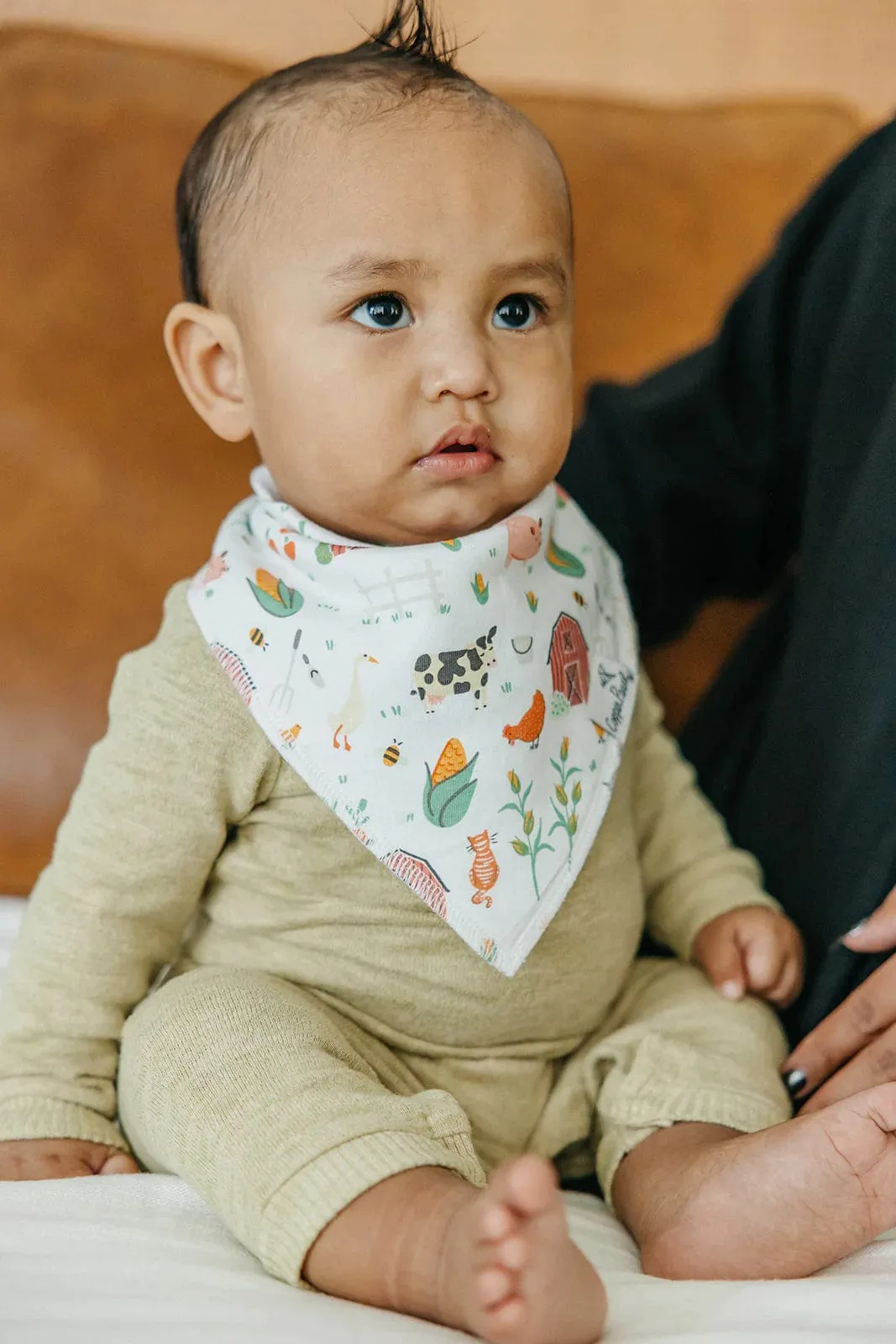 Farmstead Baby Bandana Bib Set