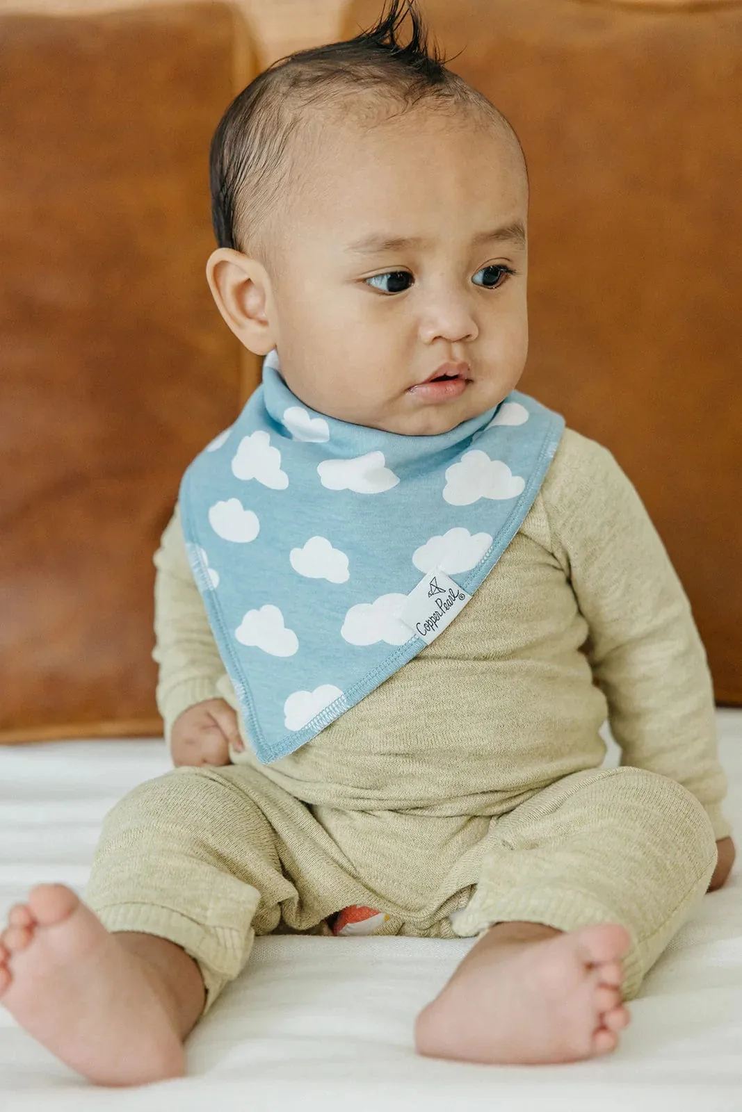 Farmstead Baby Bandana Bib Set