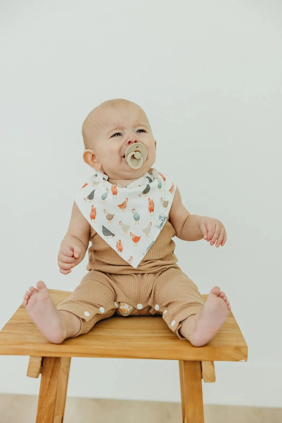 Farmstead Baby Bandana Bib Set