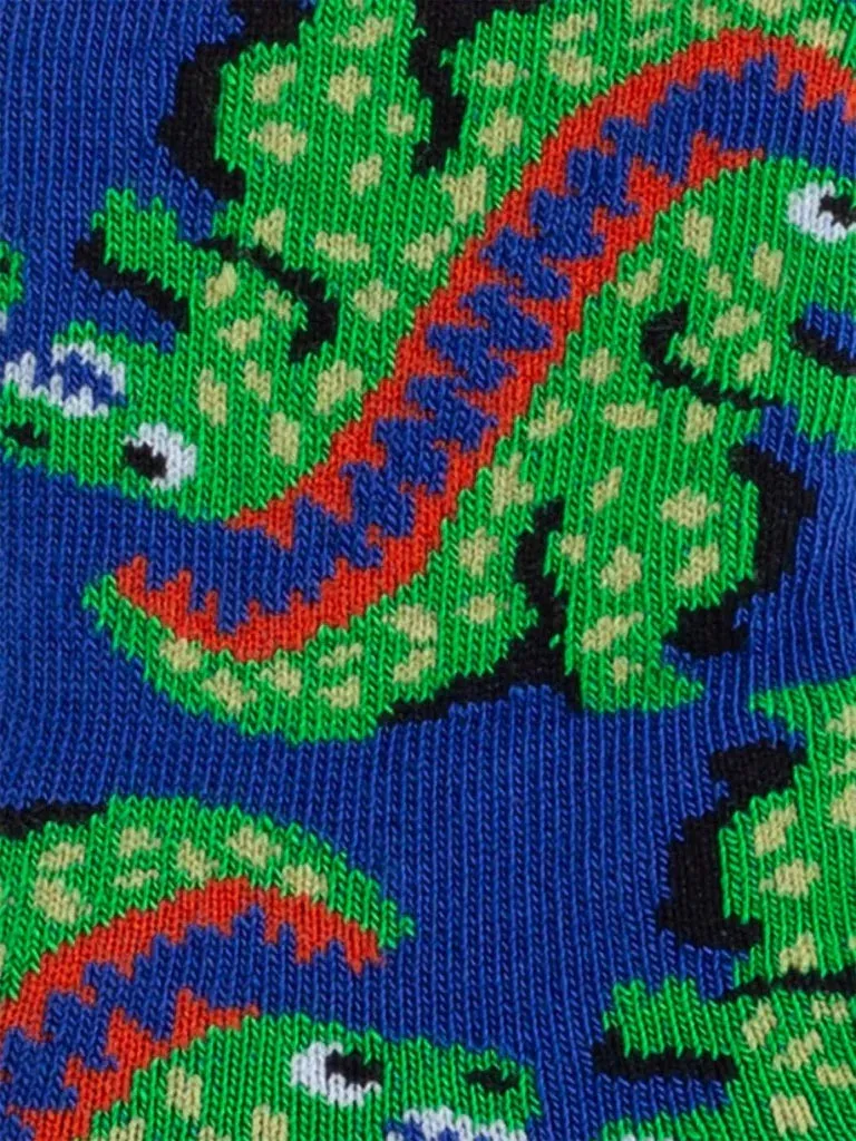 kids / baby socks - lil ur ex the t rex