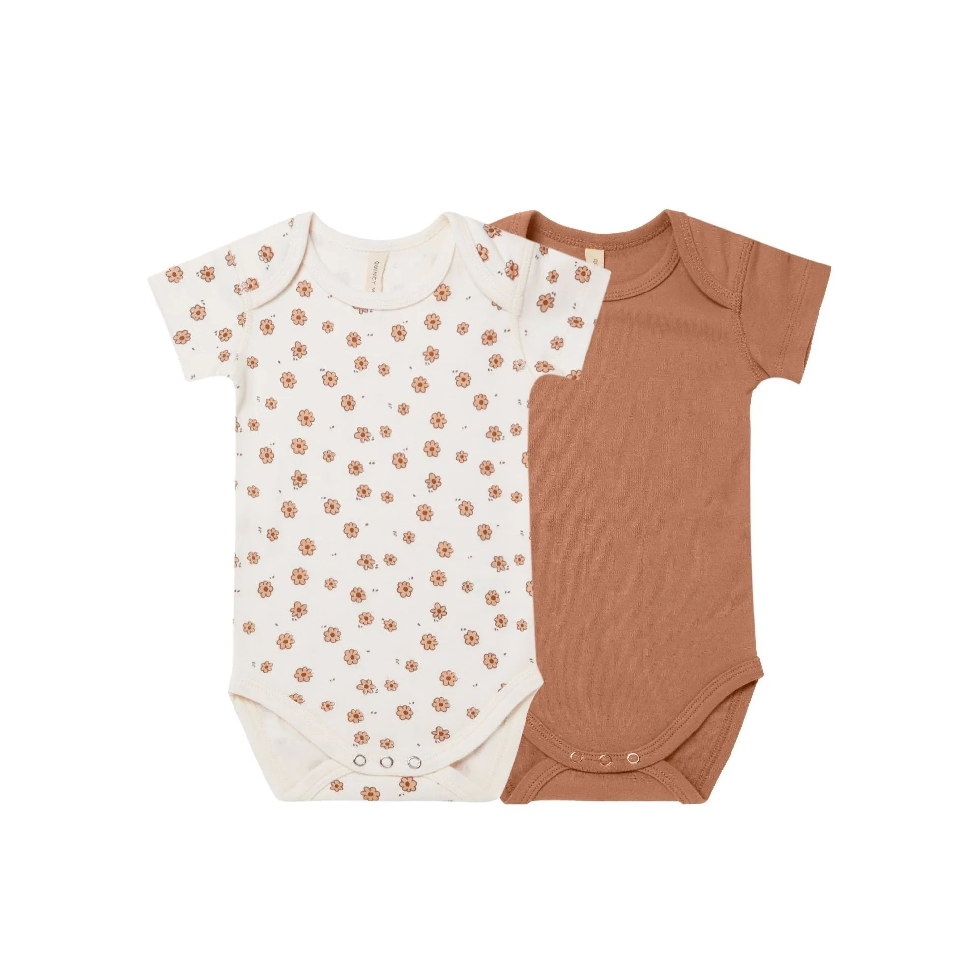 Modern Basics Gift Box - Amber   Daisy