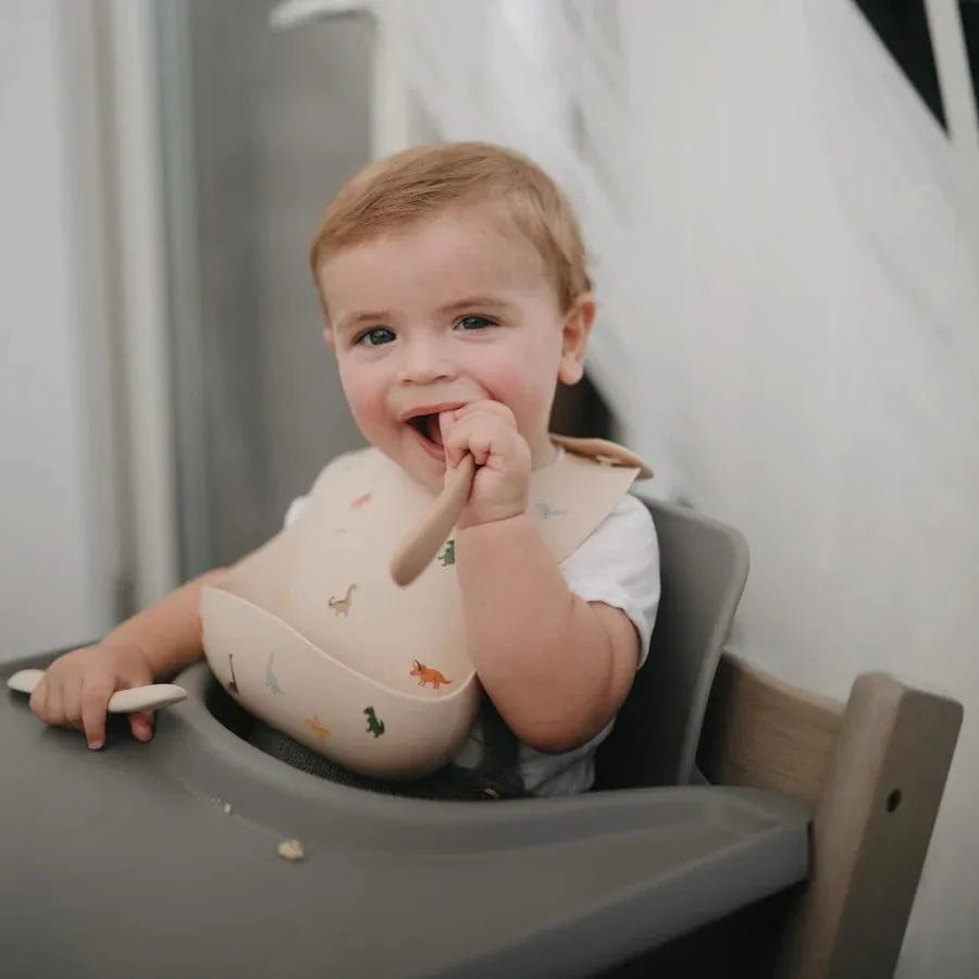 Silicone Baby Bib (Dinosaurs)