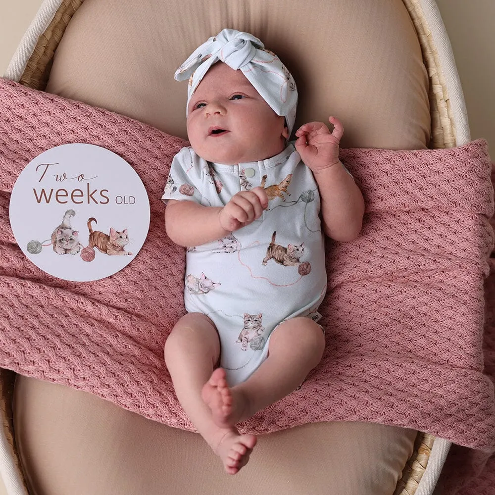 Snuggle Hunny - Organic Short Sleeve Bodysuit | Kittens