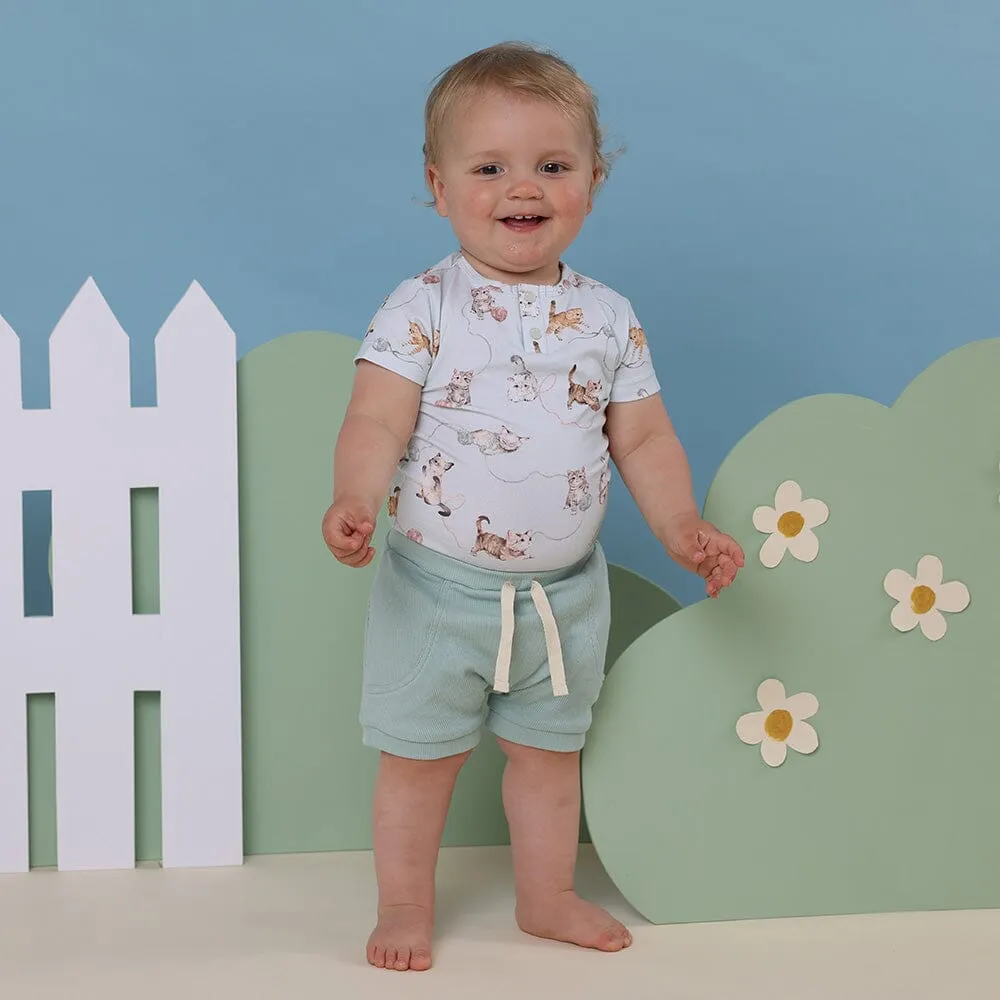 Snuggle Hunny - Organic Short Sleeve Bodysuit | Kittens