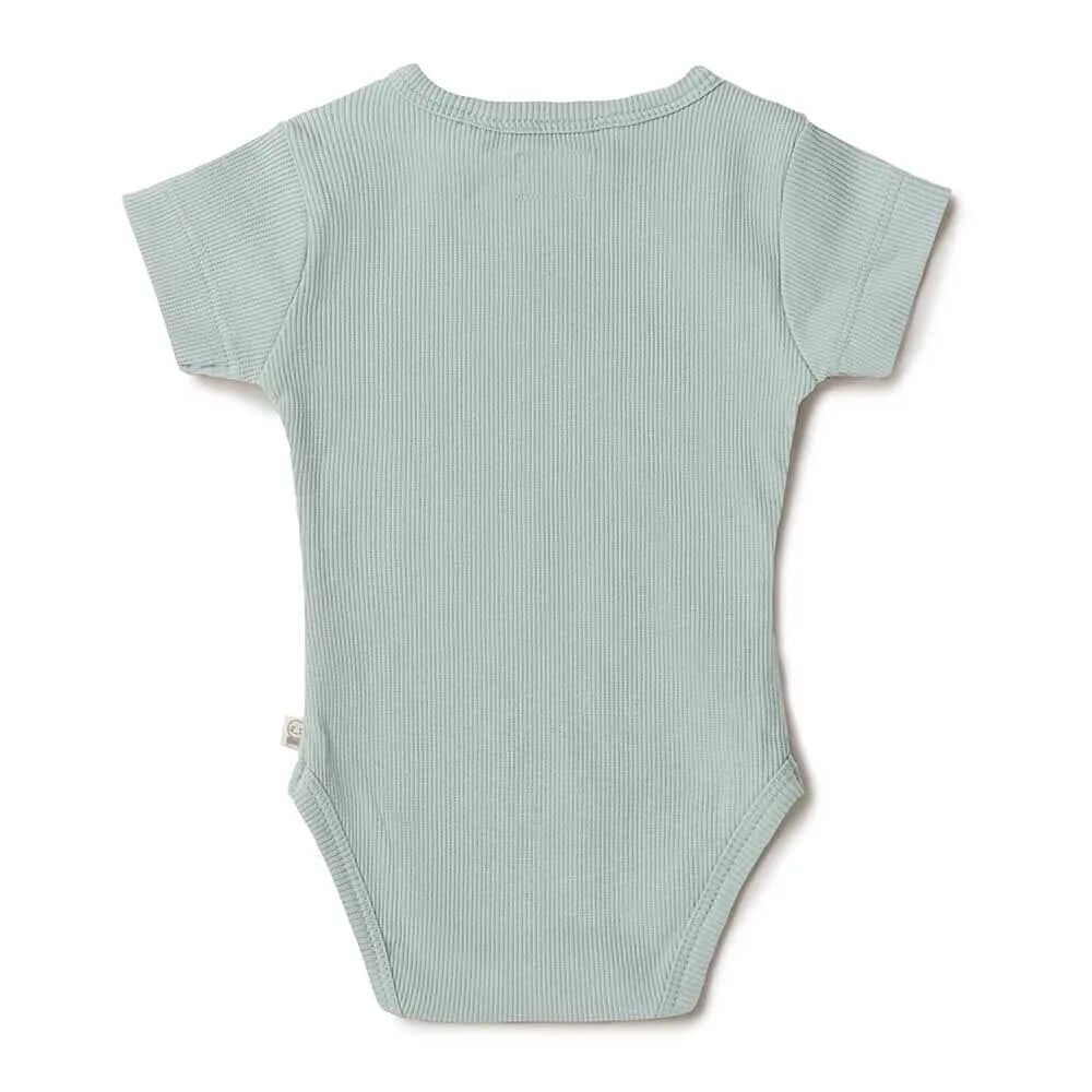 Snuggle Hunny - Organic Short Sleeve Bodysuit - Sage