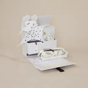 TheBabyBox Pregnancy & Newborn Gift Box