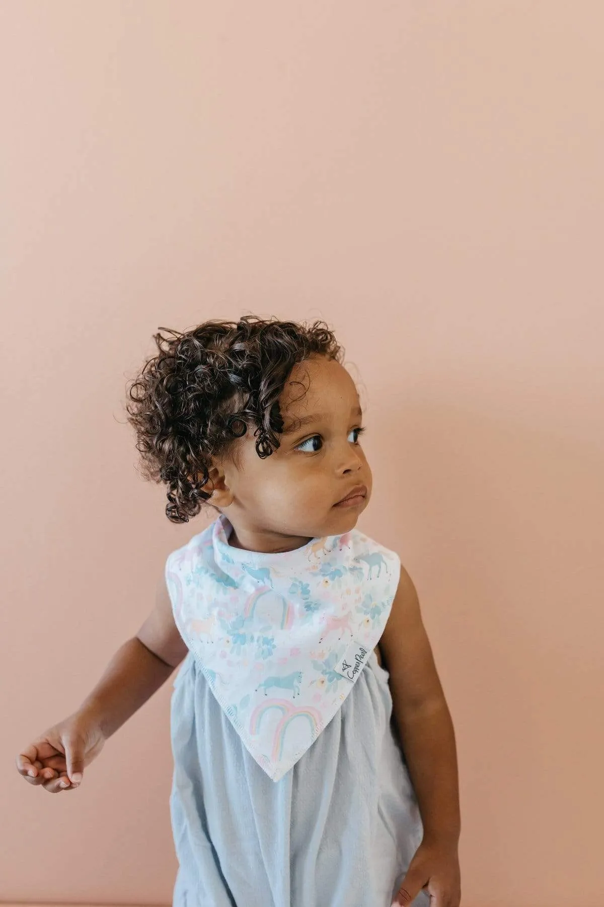 Whimsy Baby Bandana Bibs